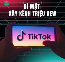 KÊNH TIKTOK TRIỆU VEW