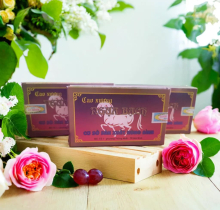 CAO NGỰA BẠCH HÙNG BÌNH